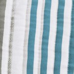 coastal stripe