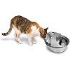 Pioneer Pet Raindrop Stainless Steel Pet Drinking Fountain - 2 of 4