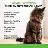 Pet Honesty Hairball Supplement for Cat Chicken Flavor - 3.7oz - 3 of 4