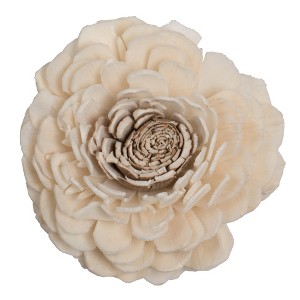Vickerman 1-3" Natural Botanicals Assorted Natural Dried Sola Flower Head - 1 of 3