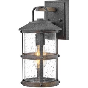 Hinkley Lakehouse 14 1/2" Zinc and Seeded Glass Outdoor Wall Light - 1 of 1