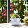 Modern Ceramic Planter with Textured Bubble Design, Ceramic Indoor & Outdoor Decorative Pot for Home & Garden - 3 of 4