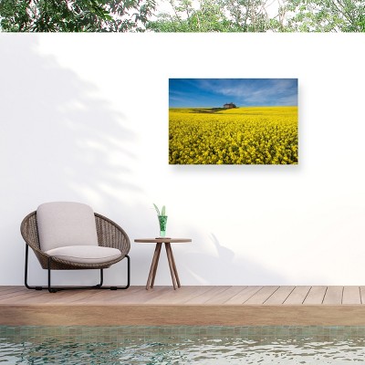 Trademark Fine Art - Peter Elgar The Canola Field Matted Framed Art