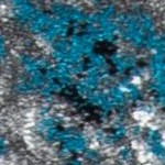 blue/grey