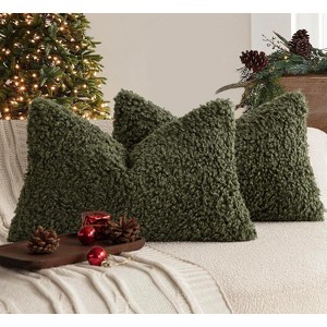 LISM 12"x20" Teddy Faux Fur Pillowcases,Decorative Lumbar Pillow Covers Set of 2 - 1 of 4
