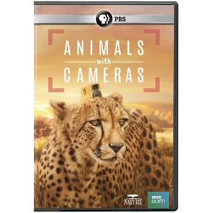 Nature: Animals With Cameras (DVD) - 1 of 1
