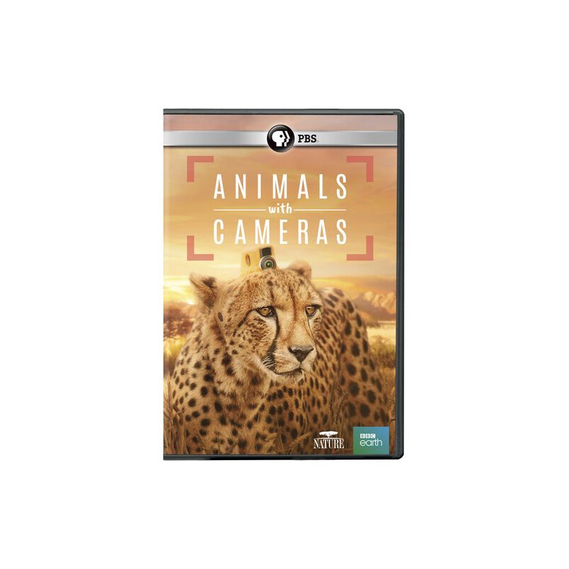 Nature: Animals With Cameras (DVD), 1 of 2