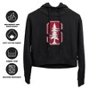 Stanford University Distressed Primary Logo Cropped Hoodie Pullover Sweatshirt - 3 of 4