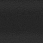 florida state seminoles