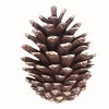 SPI Home Brass Pinecone Doorknocker – 7" Nature-Inspired Front Door Accent - 2 of 3