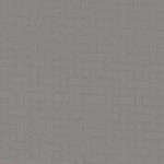 san francisco giants