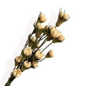 Alilang Decorative Dried Flower Stems for Home Decoration and Floral Arrangements, 15.5 Inches - 1 of 3