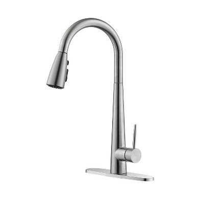 Chery Life Kitchen Faucet with Pull Down Sprayer, Silver