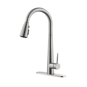 Chery Life Kitchen Faucet with Pull Down Sprayer, Silver - 1 of 4