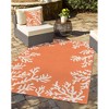 Liora Manne Frontporch Coastal Indoor/Outdoor Pillow.. - 2 of 4