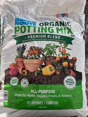 Guest review image 2 of 3, zoom in