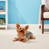 ETHICAL/SPOT Bam-Bone Bacon Flavor Chew Toy - 5.75" - 3 of 3