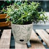 Tierra Garden 7" Round Self-Watering Bamboo Pot - 4 of 4