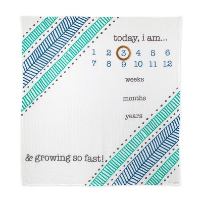baby milestone blanket target