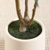 DR.Planzen 5-7FT Artificial Olive Trees with Round White Planter, Pre Potted Artificial Tree for Indoor/Outdoor Home Decor - 4 of 4