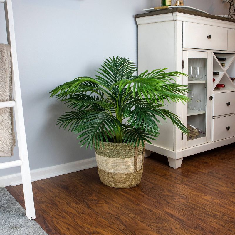 42&#34; x 28&#34; Artificial Palm Plant in Basket - LCG Florals, 4 of 11