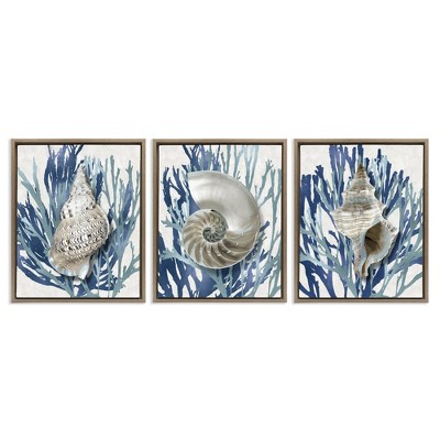 Stupell Industries Trio of Shells & Coral, 17" x 21"