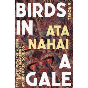 Birds in a Gale - by  Ata Nahai (Paperback) - 1 of 1