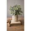 Artificial Sage with Criss Cross Rustic White Pot Set of 4 by Kalalou - 3 of 3
