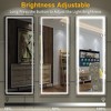 Floor Mirror, with LED Adjustable Light, Aluminum Alloy  Arched  Full Body Mirror, for Home Office Clothing Store, 63"X 20" - 4 of 4