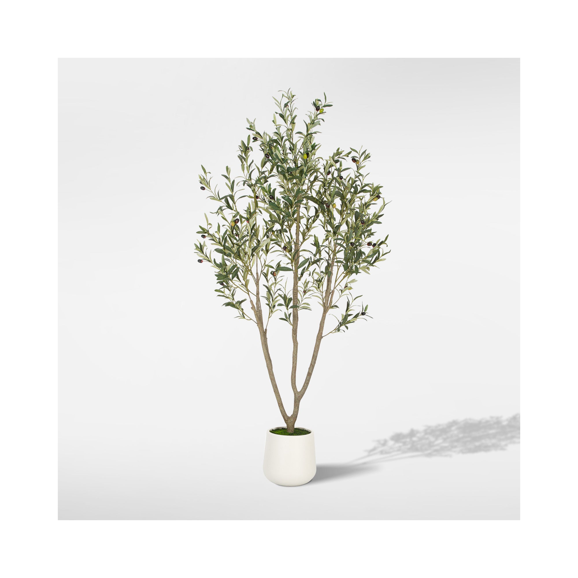 Romswi Faux Olive Tree with Oval White Planter, 6 FT Tall Faux Olive Trees, with Natural Wood Trunk Lifelike Fruits, Fake Greenry Plant for Home Decor