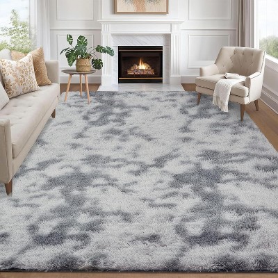 Fluffy Area Rug- Shag Area Rug for Living Room, Shaggy Large Indoor Thick Living Room Carpet with Non-Slip Backing, Soft Plush Carpet