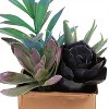 Northlight 7" Mixed Succulent Artificial Potted Arrangement - Green/Black - image 2 of 4