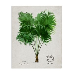 Stupell Industries Vintage Fan Palm Plant Canvas Art - 1 of 4