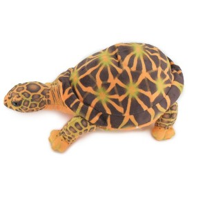 Collectible Wildlife Gifts | Box Turtle, Plush Animal, Soft, Stuffed Reptile Realistic, Beautiful Turtle Design, Figure, Lifelike, Replica, Gift,  11 - 1 of 1