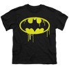 Boys' Short Sleeve Batman Dripping Logo T-Shirt - 2 of 4