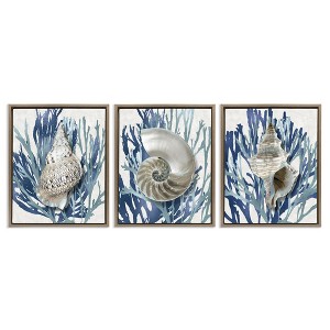 Stupell Industries Trio of Shells & Coral 3pc Floating Frame Art Set - 1 of 4