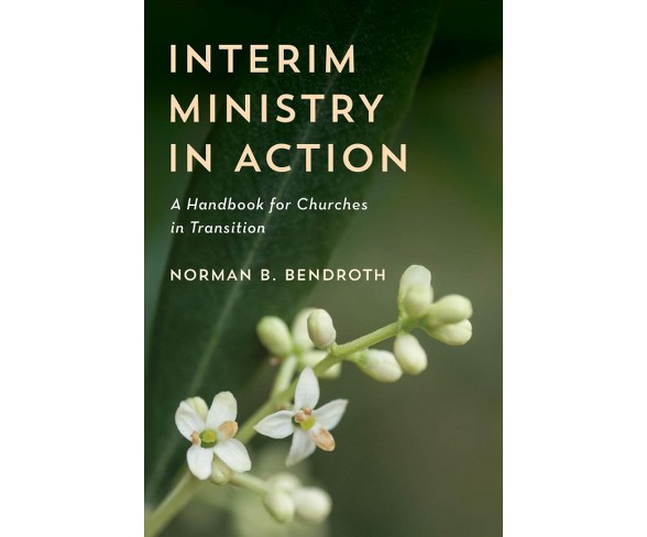 Interim Ministry in Action : A Handbook for Churches in Transition -  by Norman B. Bendroth (Hardcover)