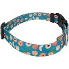 Country Brook Petz Deluxe Dog Collar - Made in The U.S.A. - Tasty Collection - 3 of 4