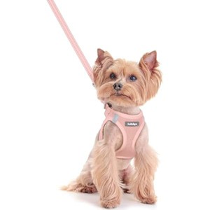 rabbitgoo Dog Harness Small Sized and Leash Set, Breathable Mesh Pet Harness, Reflective for Safe Outdoor Walking, Pink XXS - 1 of 1
