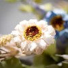 Sullivans Artificial 21.75" Summer Wildflower Wreath - 2 of 4