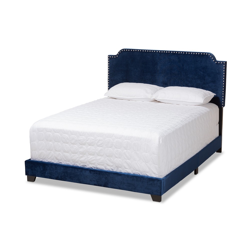 Photos - Bed Queen Darcy Velvet Upholstered  Navy Blue - Baxton Studio: Chrome Nailhead, Rubberwood