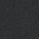 north carolina state wolfpack