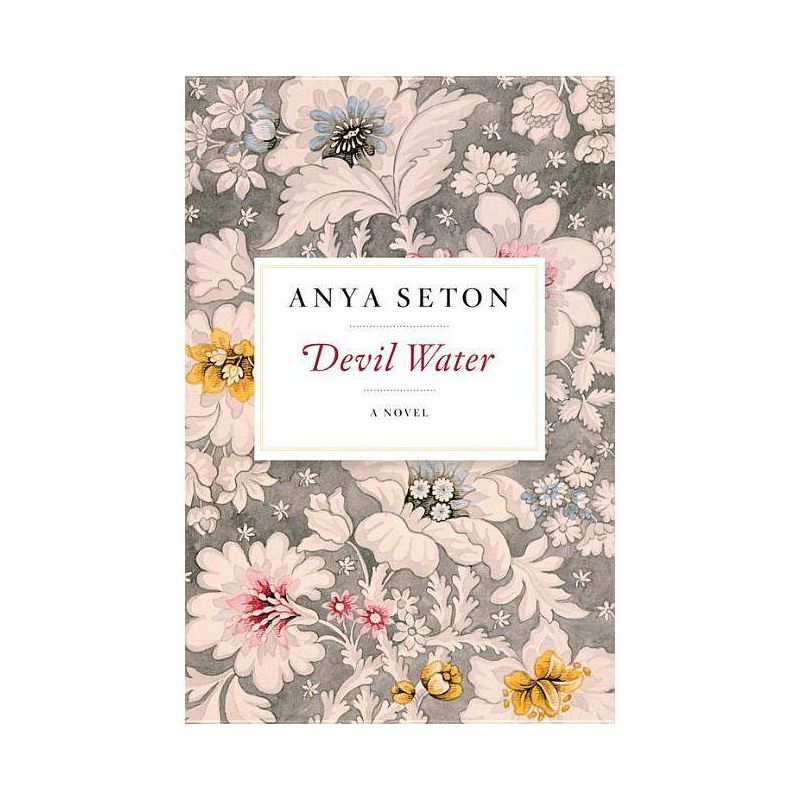 Devil Water - by  Anya Seton (Paperback), 1 of 2