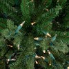 Northlight Real Touch™ Pre-lit Medium Grande Spruce Artificial ...