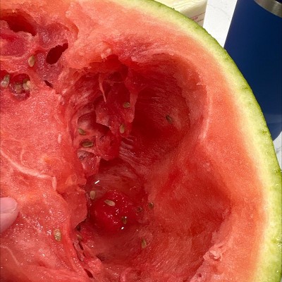 Guest review image 1 of 1, zoom in