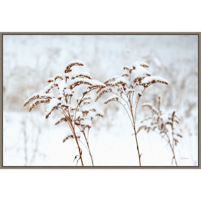Amanti Art Snowy Gardens by Sue Schlabach Canvas Wall Art Print Framed 33-in. x 23-in.