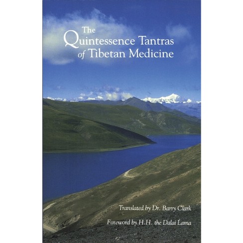 The Quintessence Tantras of Tibetan Medicine - (Paperback) - image 1 of 1