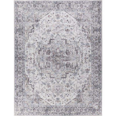 Nourison New Concept Washables Vintage Indoor Area Rug