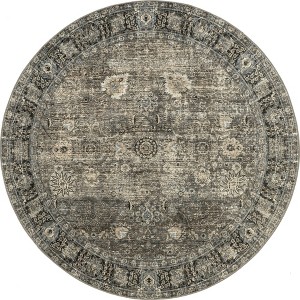 Nuloom Bayberry Spill Proof Vintage Machine Washable Area Rug - 1 of 4
