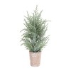 Frosted Potted Pine Tree (Set Of 4)– Icy Green Branches – 15 Inch Holiday Decor – By Melrose - 3 of 3